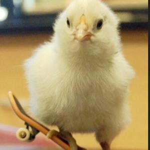 Meet your Posher, Shane